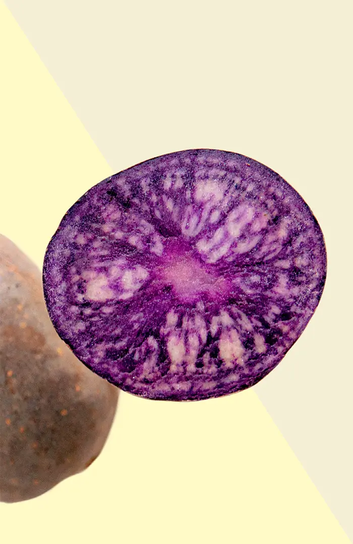 kartoffelposter_Detail-06