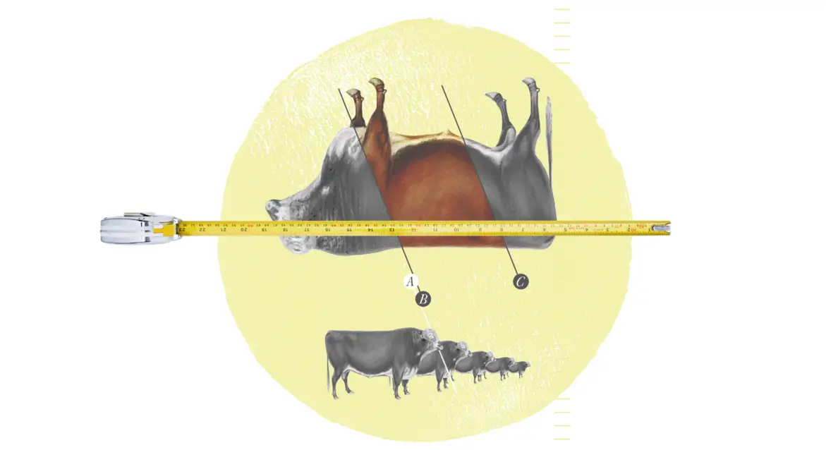 projekte-ksta-dgl-slider-01