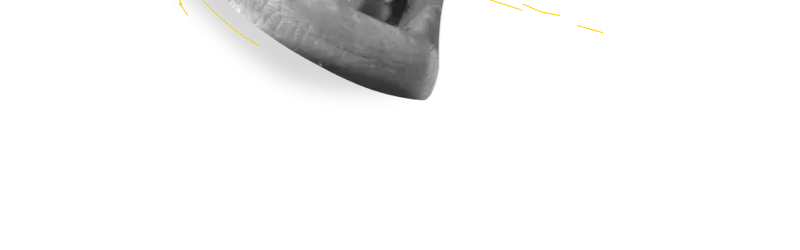 projekte-illu-musik-projektheader-unten