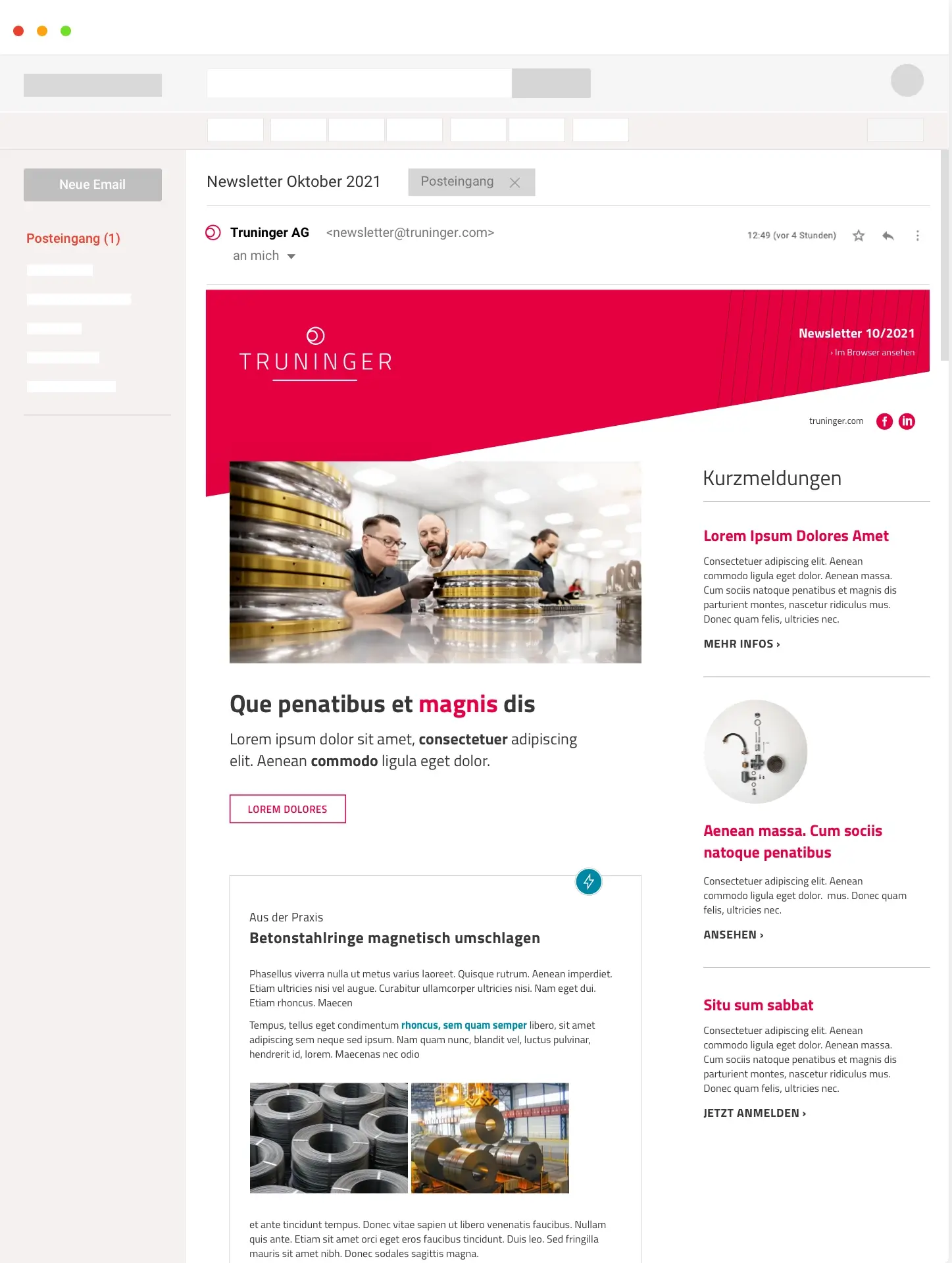 Projekte-Sonderseite-Interaktiv-Truniger-Newsletter