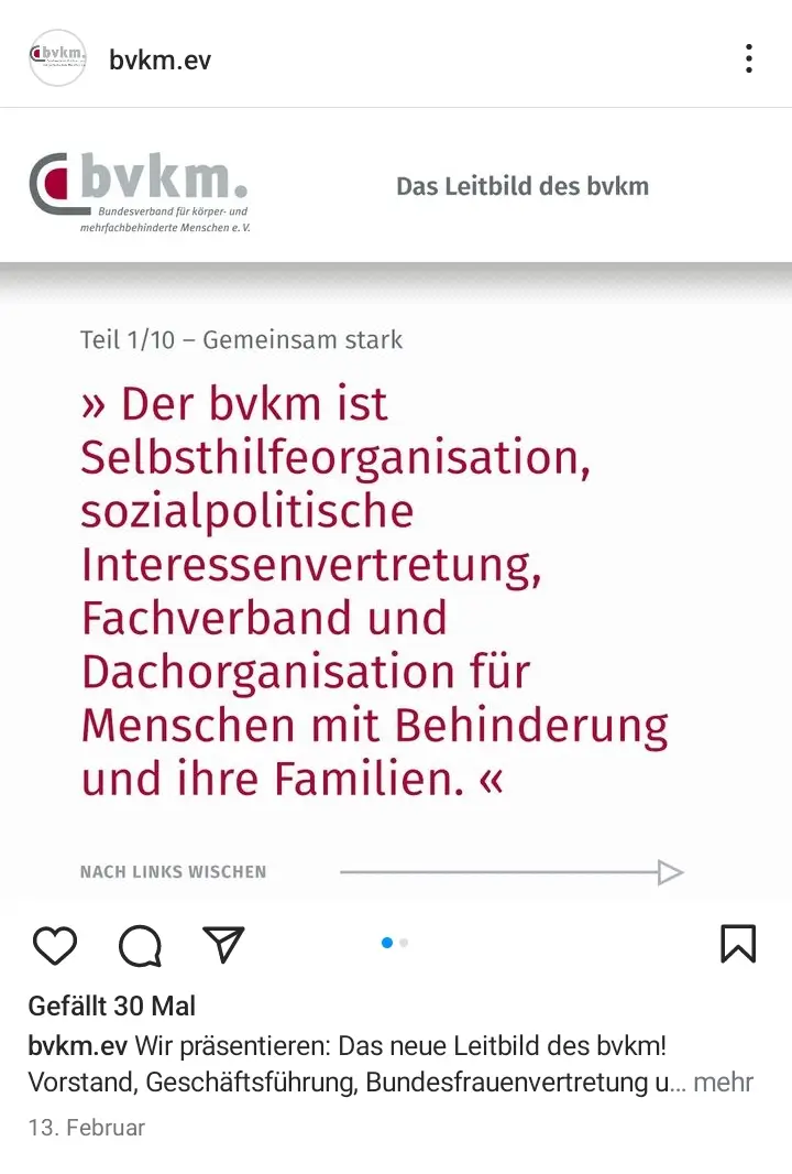 Projekte-Sonderseite-Interaktiv-bvkm-Insta-Leitbild